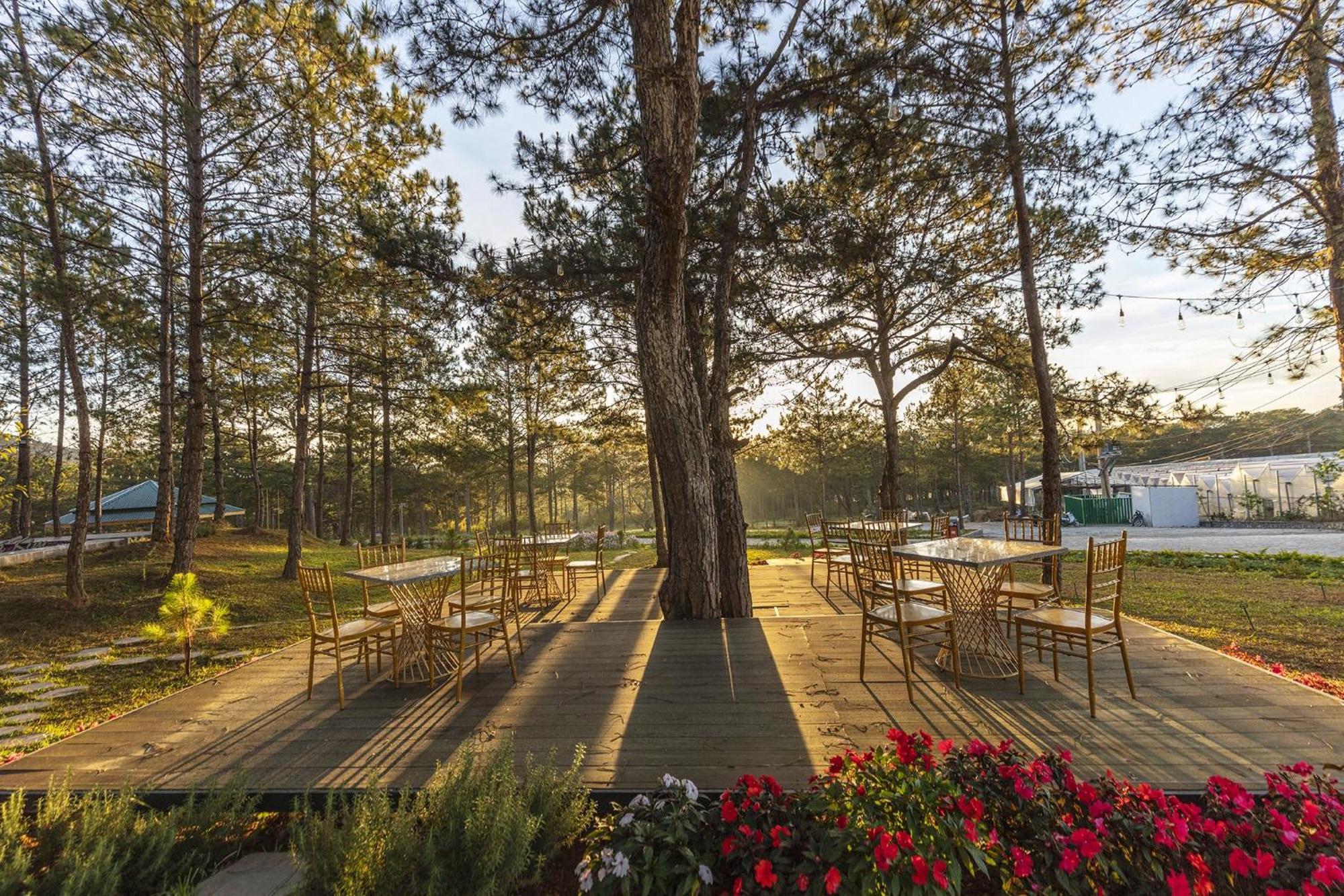 Kim Resort - Khu Nghi Duong Rung La Kim Da Lat Buitenkant foto